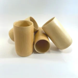 Bamboo Glass (Set Of 2)