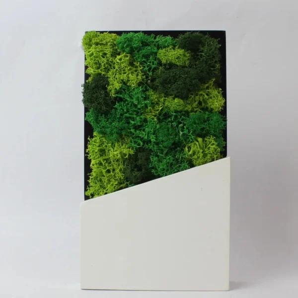 Forest Award - Image 3