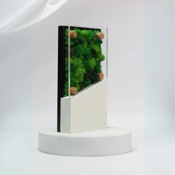 Forest Award Acrylic - Image 3