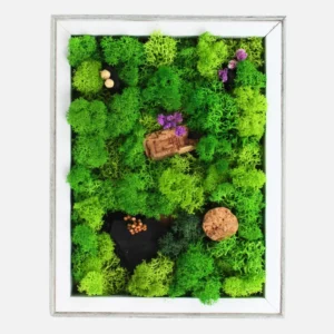 Forest Symphony Mini