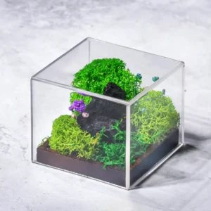 Forest Terrarium Cube