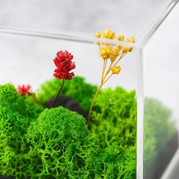 Forest Terrarium Desktop - Image 4