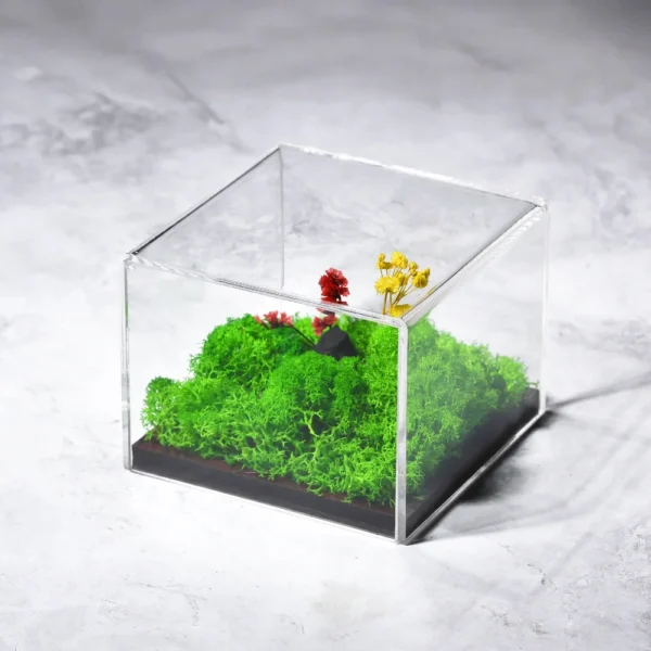 Forest Terrarium Desktop - Image 3