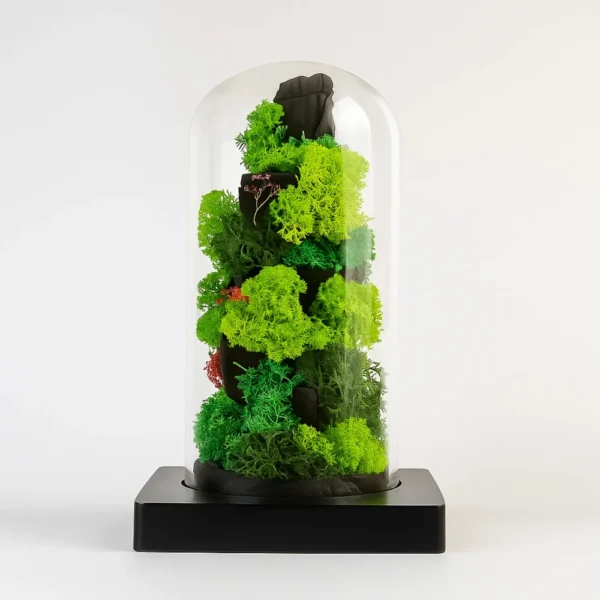 Forest Tower - Image 3