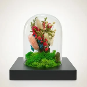 Garden Dreams Dome