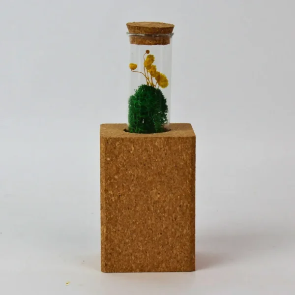 Magnetic Cork Forest - Image 2