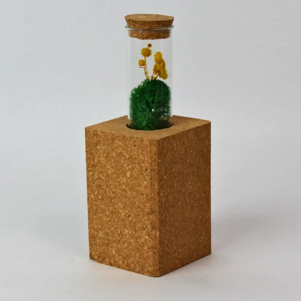 Magnetic Cork Forest - Image 3