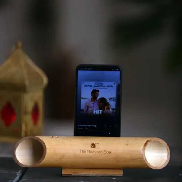 The Bamboo Bay Amplifier