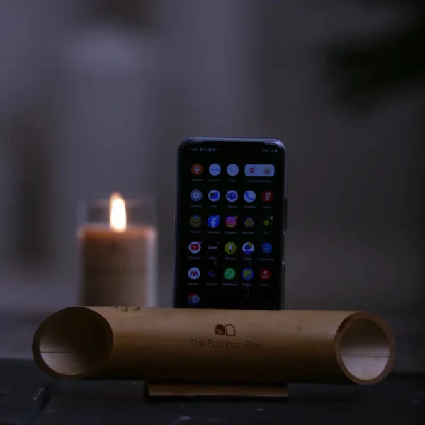 The Bamboo Bay Amplifier - Image 2