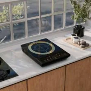 2100 Watt Induction