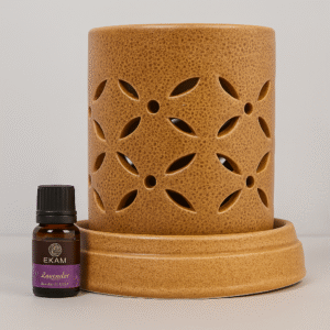 Electric Oil Warmers