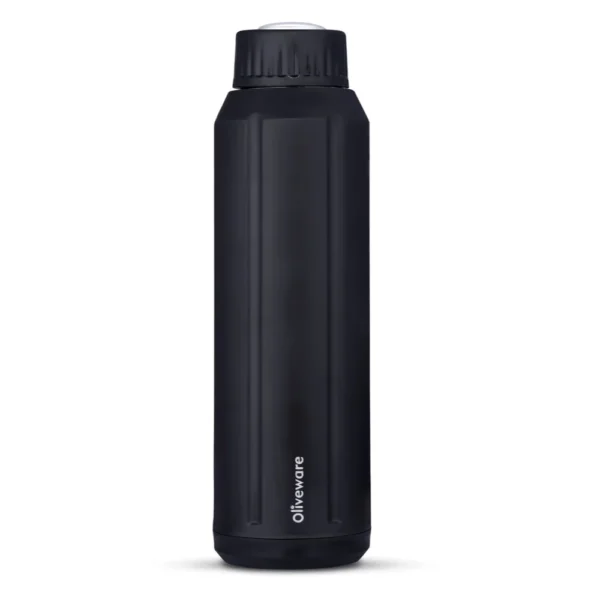 Whitemax Misty Steel Insulated Bottle 750