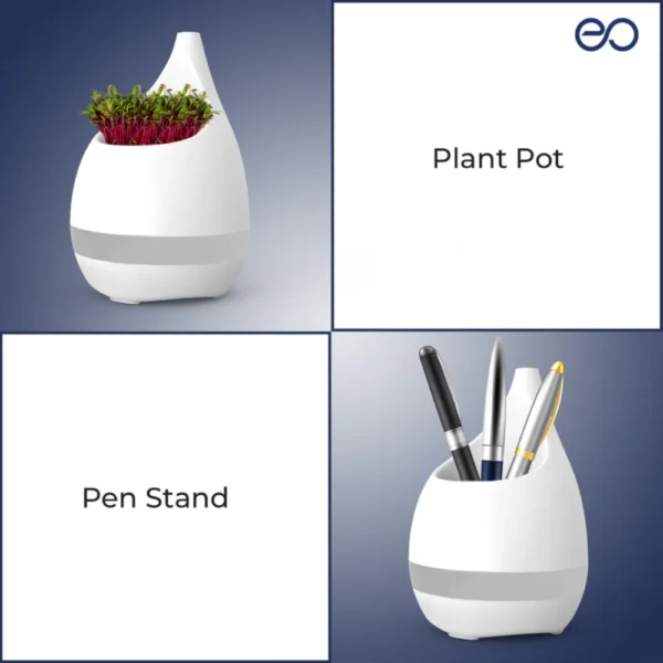 Sprout - Image 2