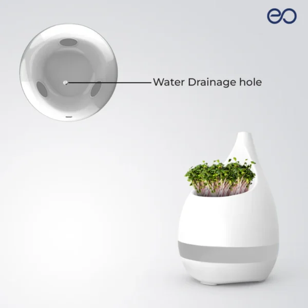 Sprout - Image 3