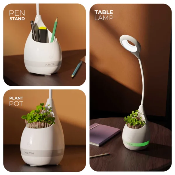 T2 - Image 4