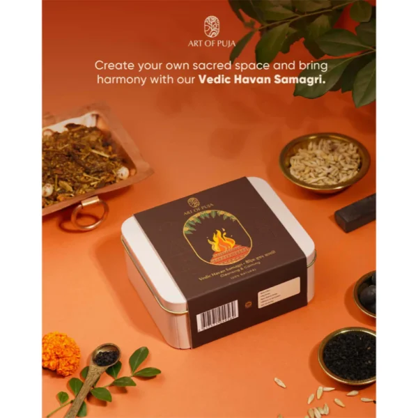 Vedic - Image 4