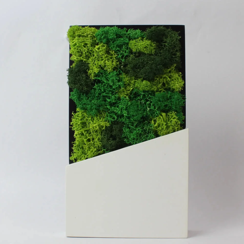 Forest Award - Image 3