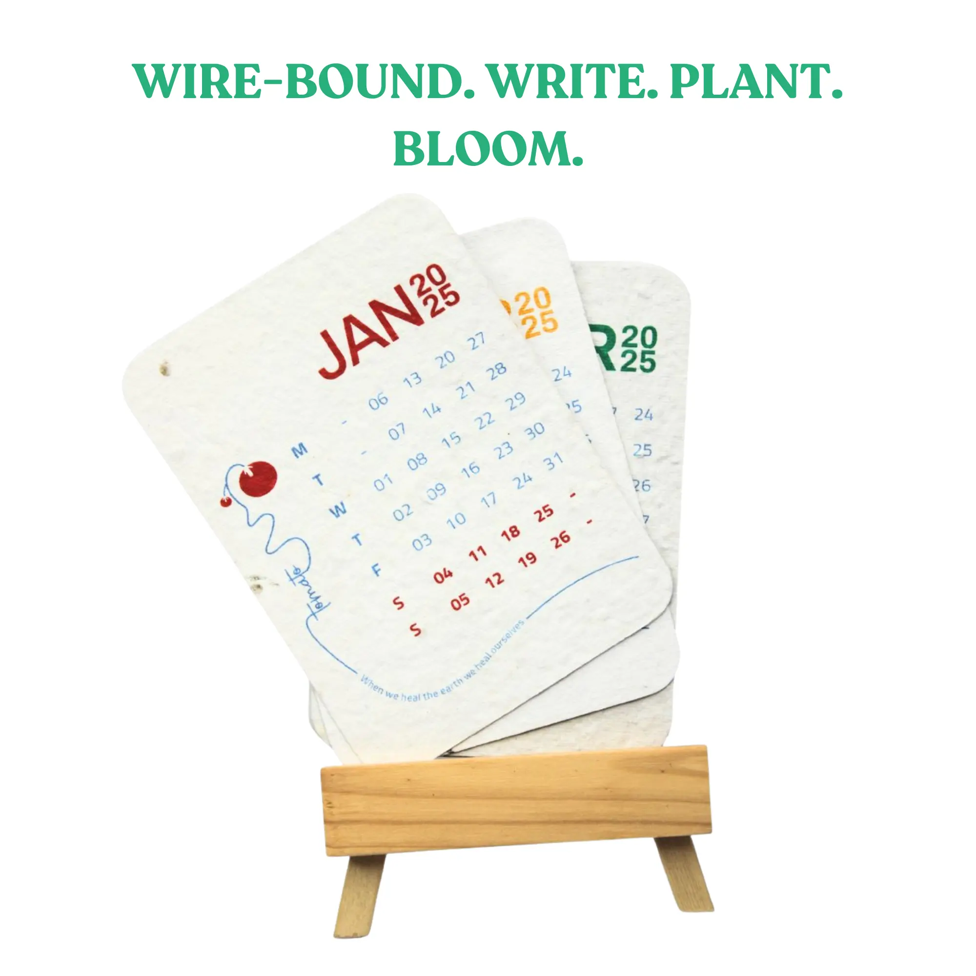 Plantable Calendar (Wood) - Image 4
