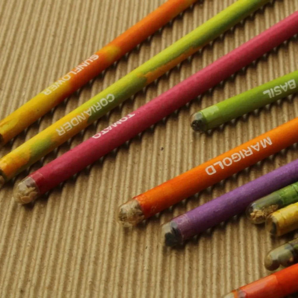Plantable Seed Pencil (12pc Set) - Image 2