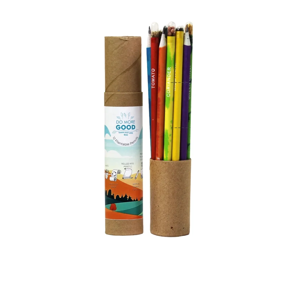 Plantable Seed Pencil (12pc Set) - Image 3