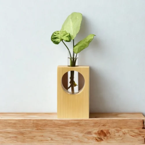 Wooden Desk Planter