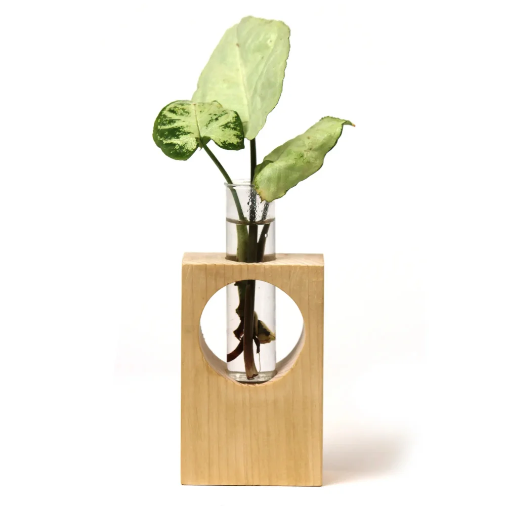 Wooden Desk Planter - Image 4