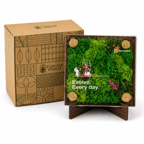 branded-1 Forest Memoir Square