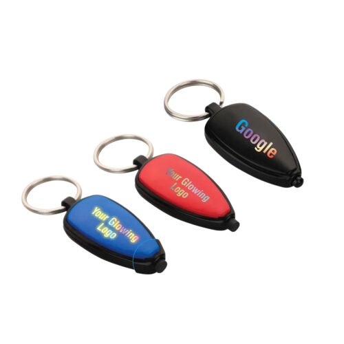 _0209_Logo highlight keychain (multicolor backlight) Logo highlight keychain (multicolor backlight)