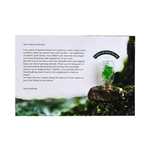 hero (15) Forest Card