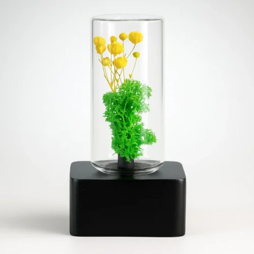 hero (19) Forest Cube (Black)