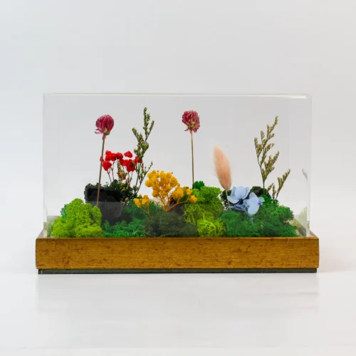 hero (24) Forest Garden Terrarium