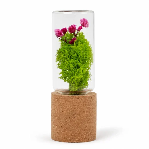Forest Pod (Brown)