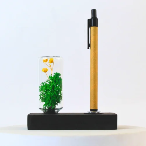 hero (34) Forest Pod Stand Compact