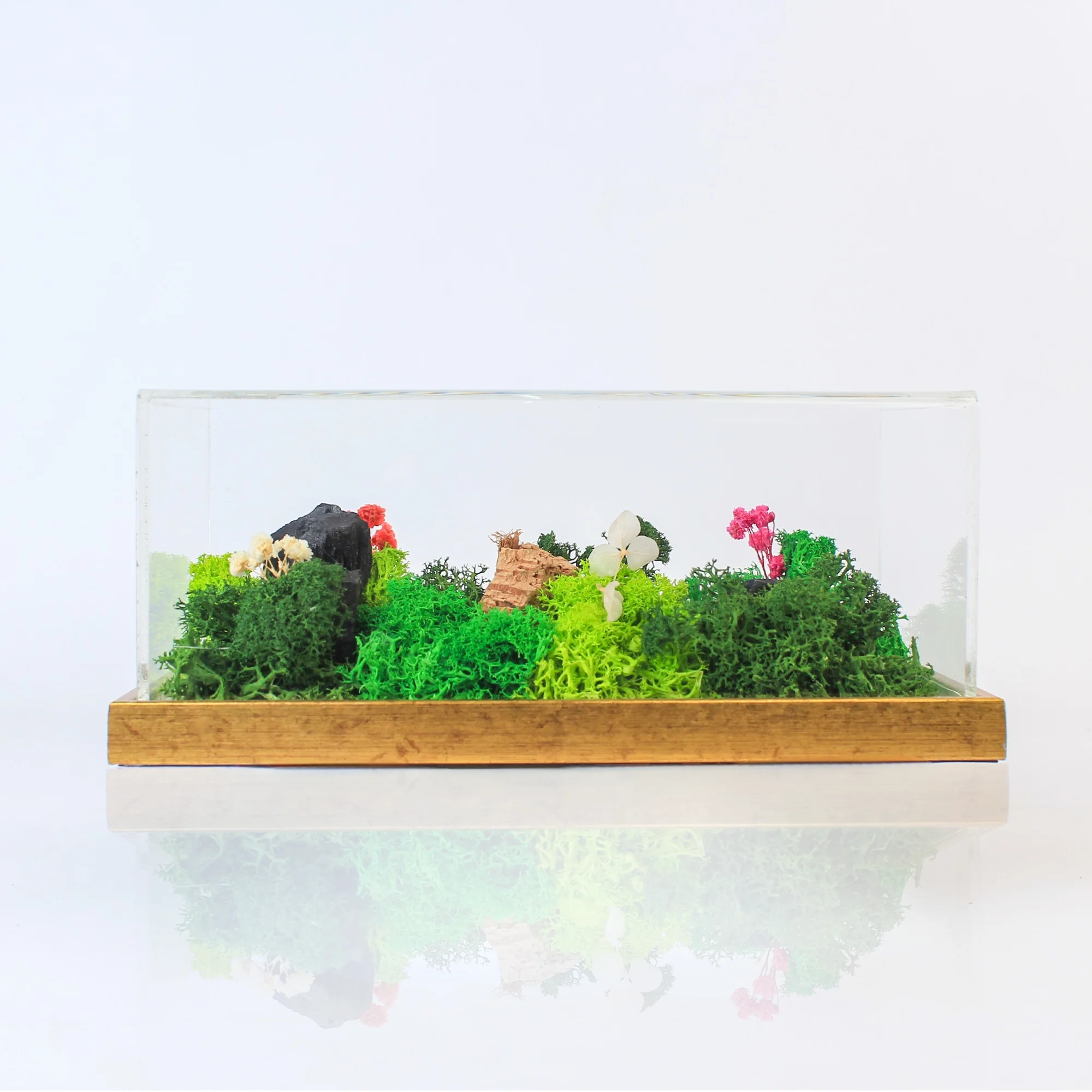 Forest Terrarium Landscape - Image 2