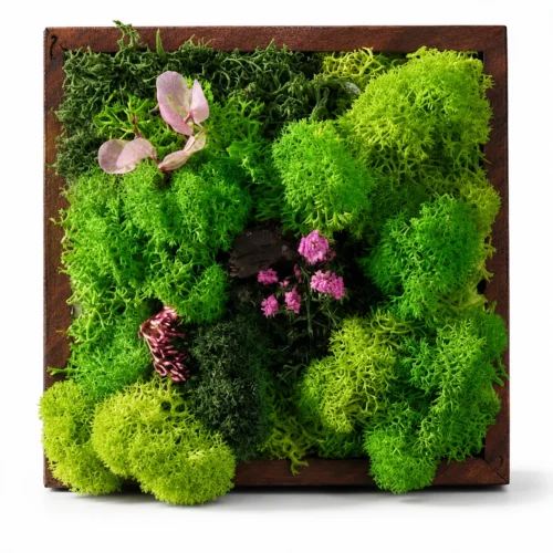 hero (39) Forest Tile Classic