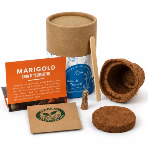 hero (82) Mini Grow It Yourself Kit - 2