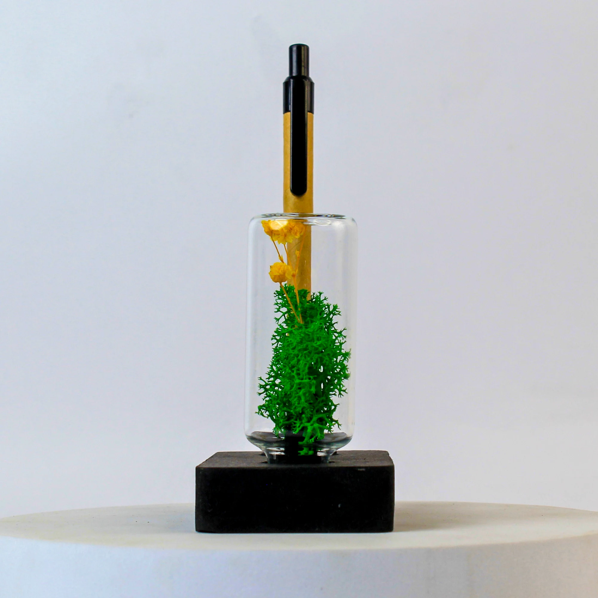 Forest Pod Stand Compact - Image 2