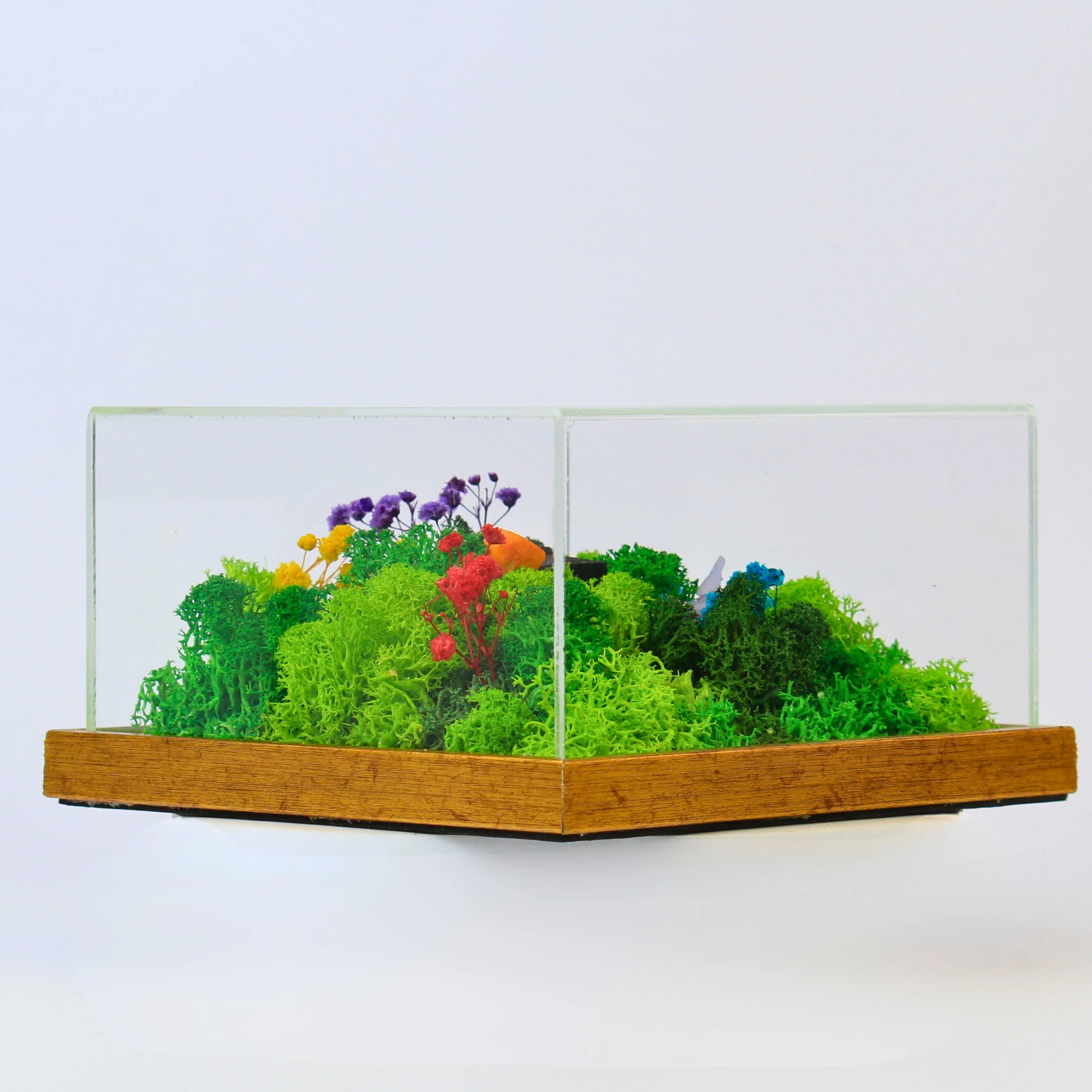 Forest Terrarium Classic - Image 2