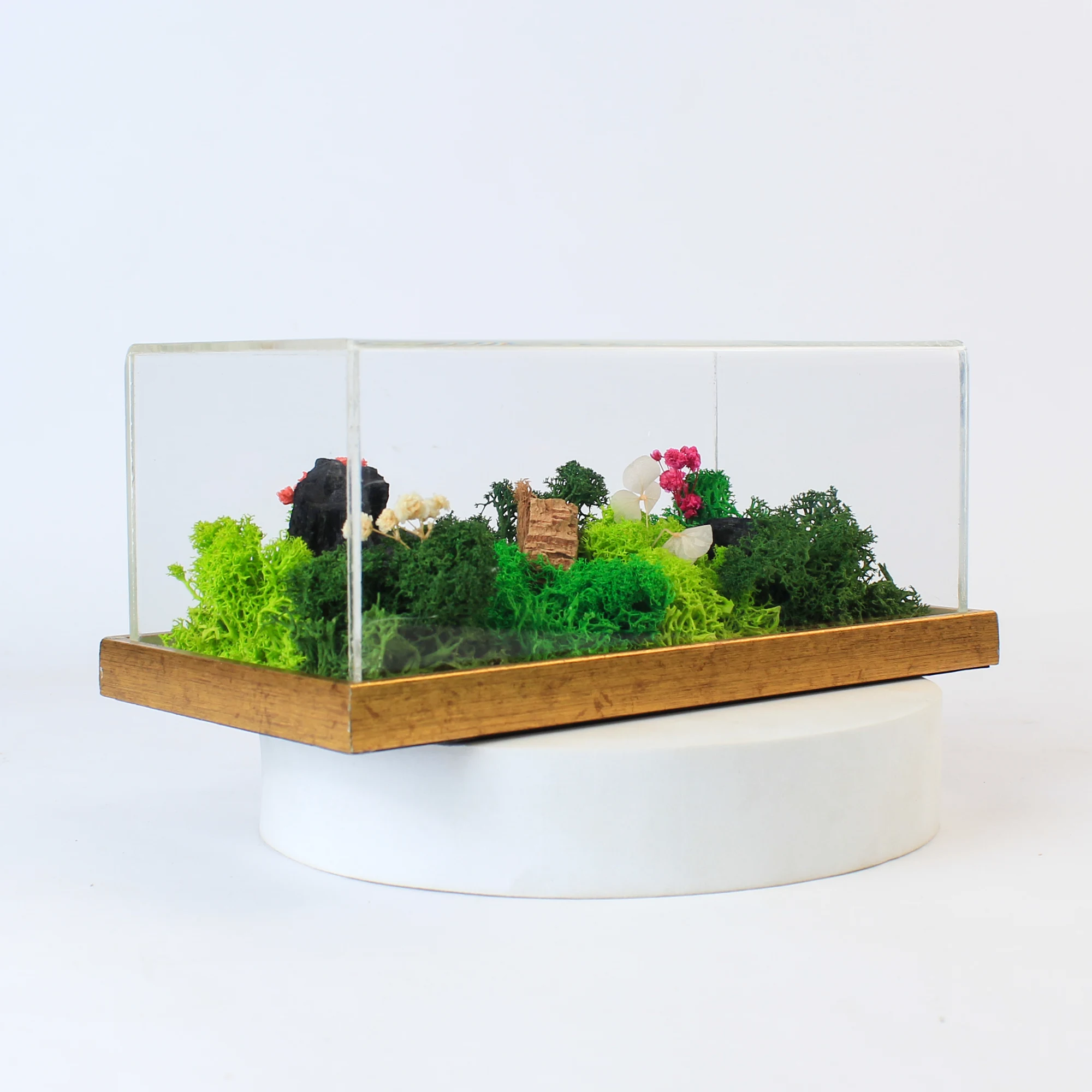 Forest Terrarium Landscape - Image 3