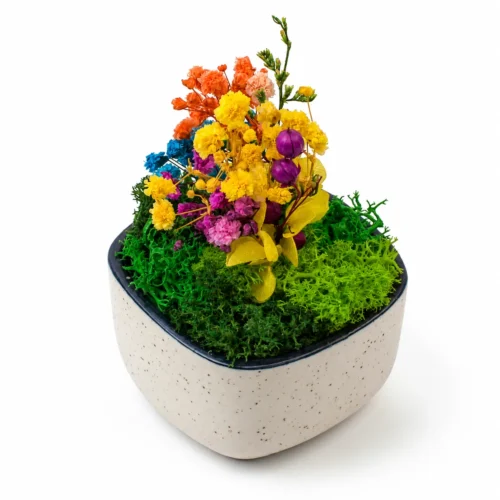 Ceramic Forest Bowl 3