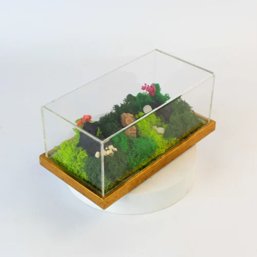 image-3 (24) Forest Terrarium Landscape