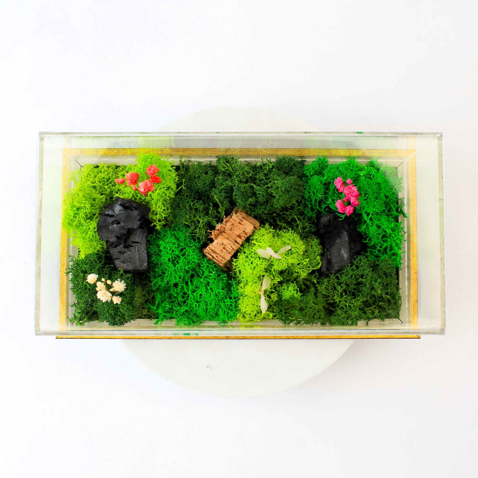 Forest Terrarium Landscape - Image 4