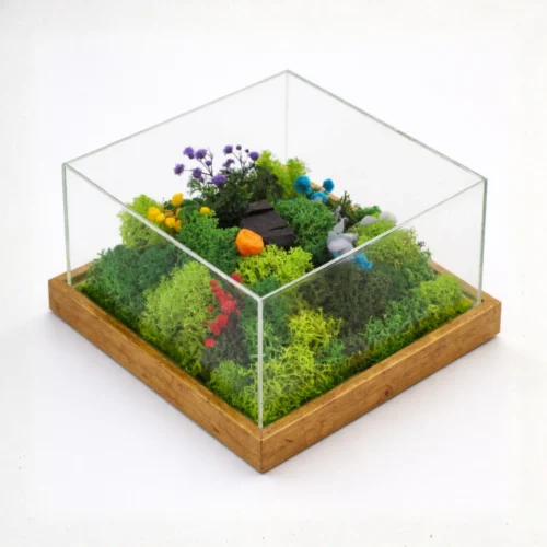 image-5 (12) Forest Terrarium Classic