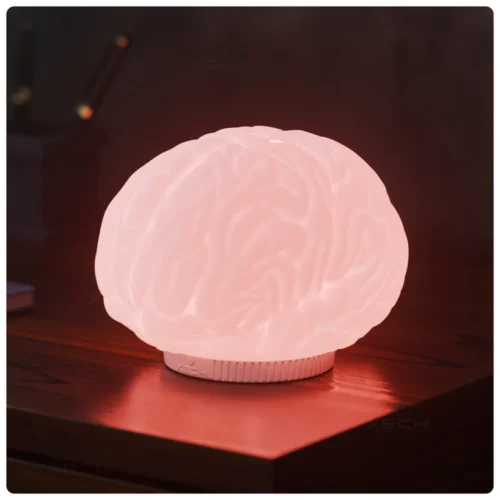 Brain Lamp