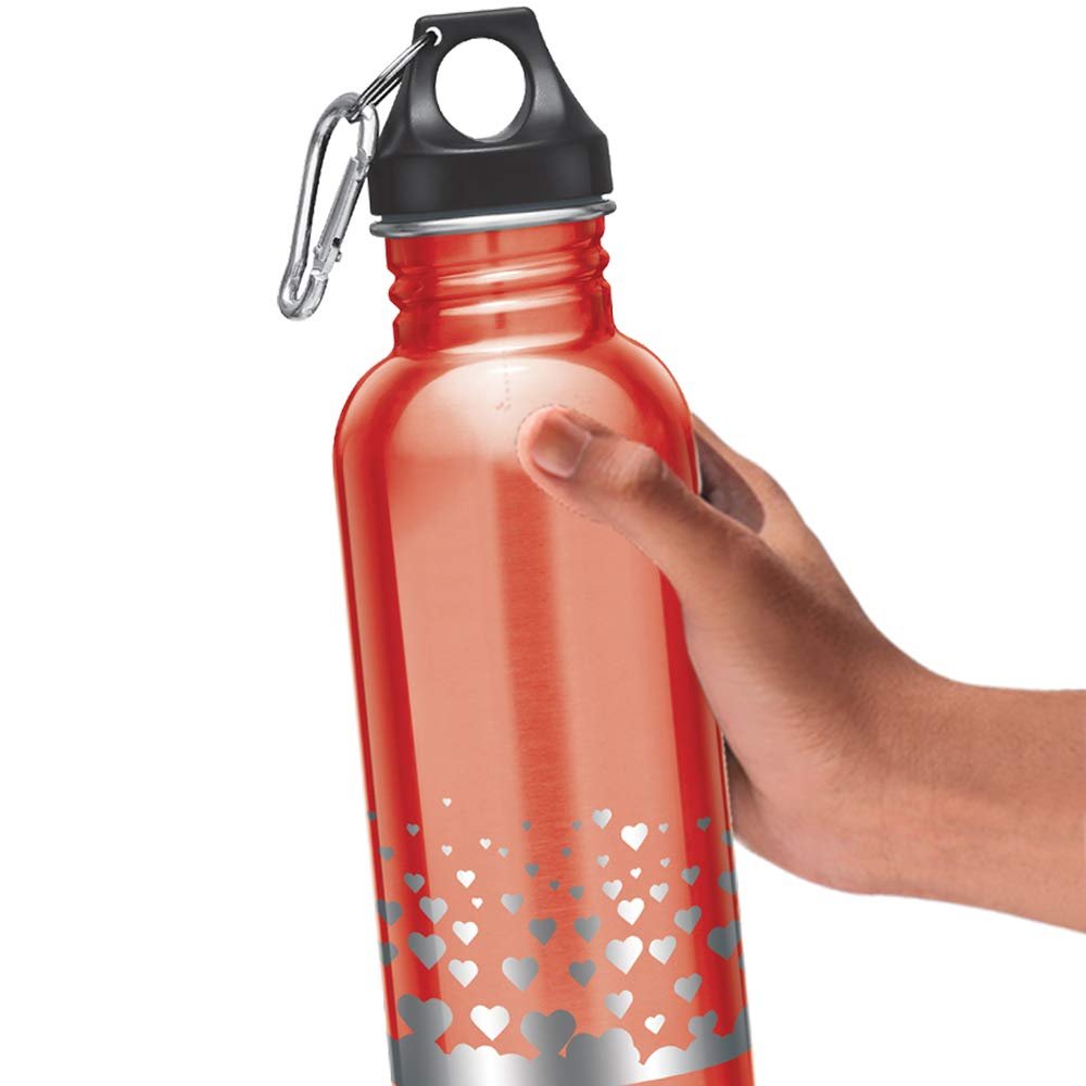 Alive SS Bottle 750 - Image 4