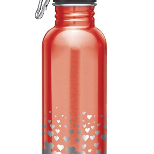 71umD7mwv1L._SL1500_ Alive SS Bottle 750
