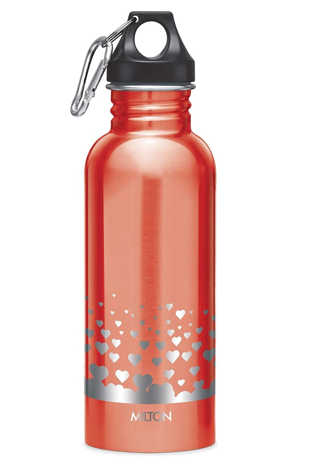Alive SS Bottle 750