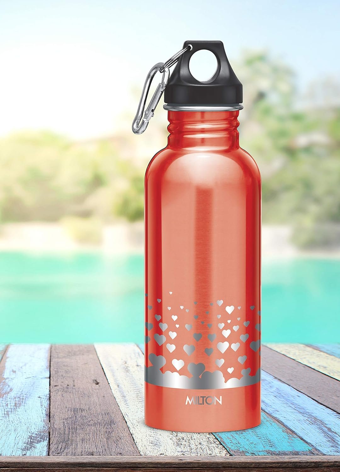 Alive SS Bottle 750 - Image 2