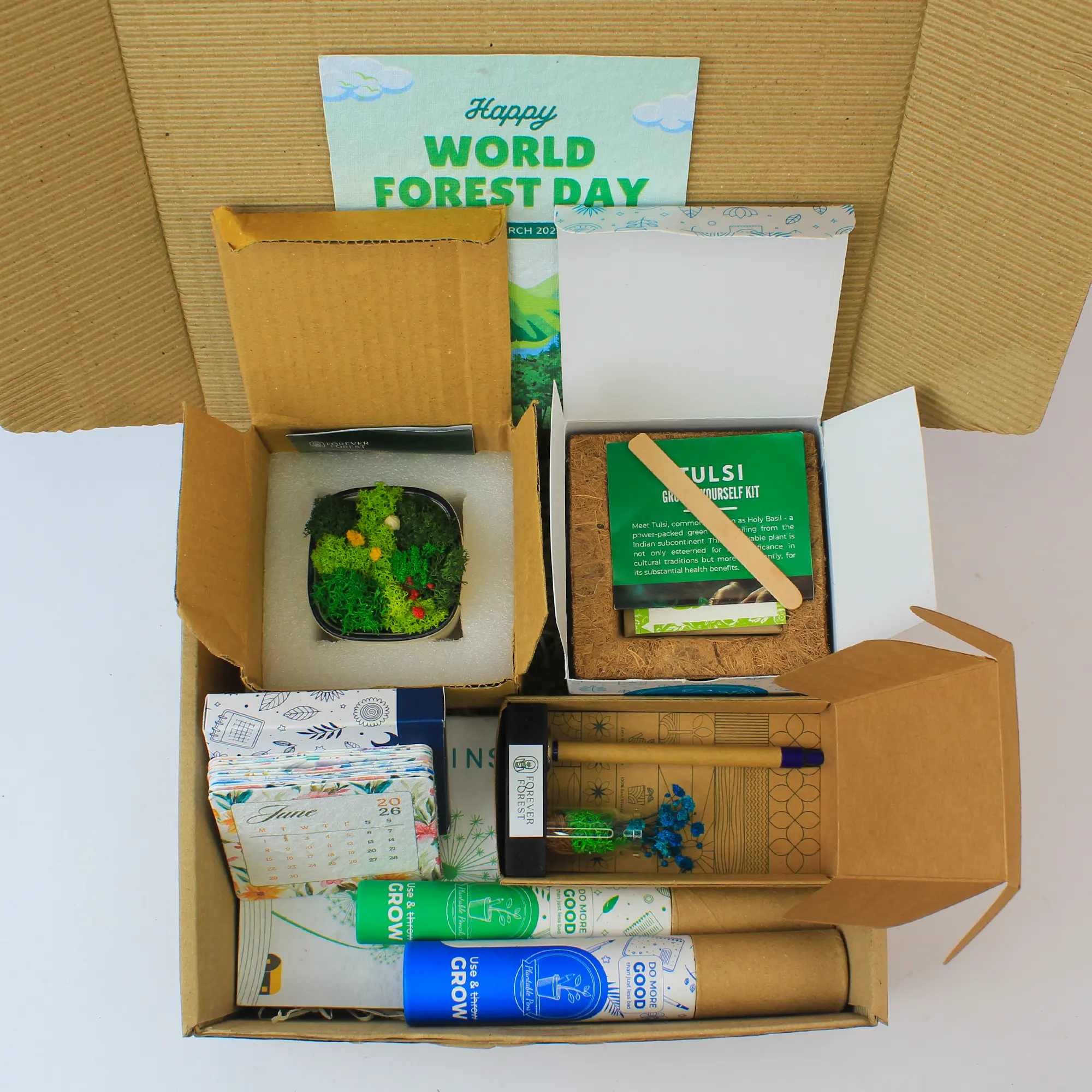 Forest & Grow Desk Activity Box - Image 2