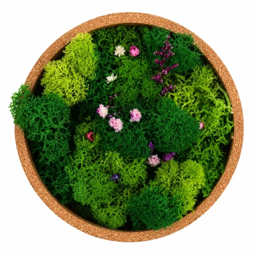 hero (41) Forest Bowl Bloom Fridge Magnet